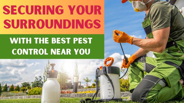 Securing Your Surroundings With The Best Pest Control Near You
